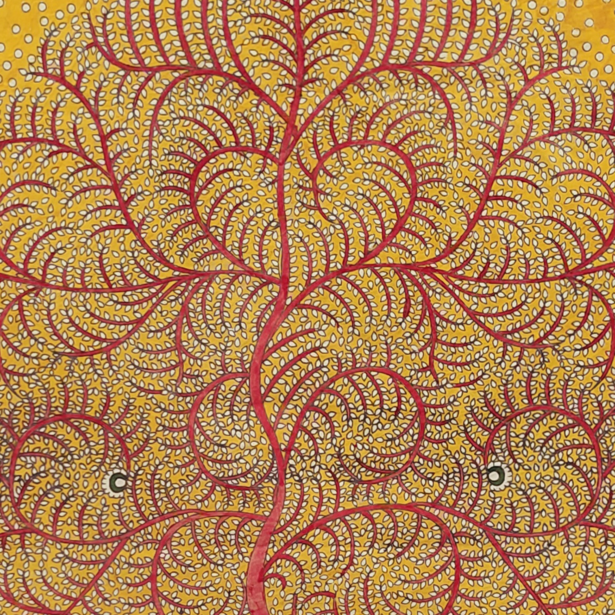 AMBA MATA - Image 2