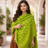 100% Handmade, Rabari Women Embroidered, Bandhani Shawl