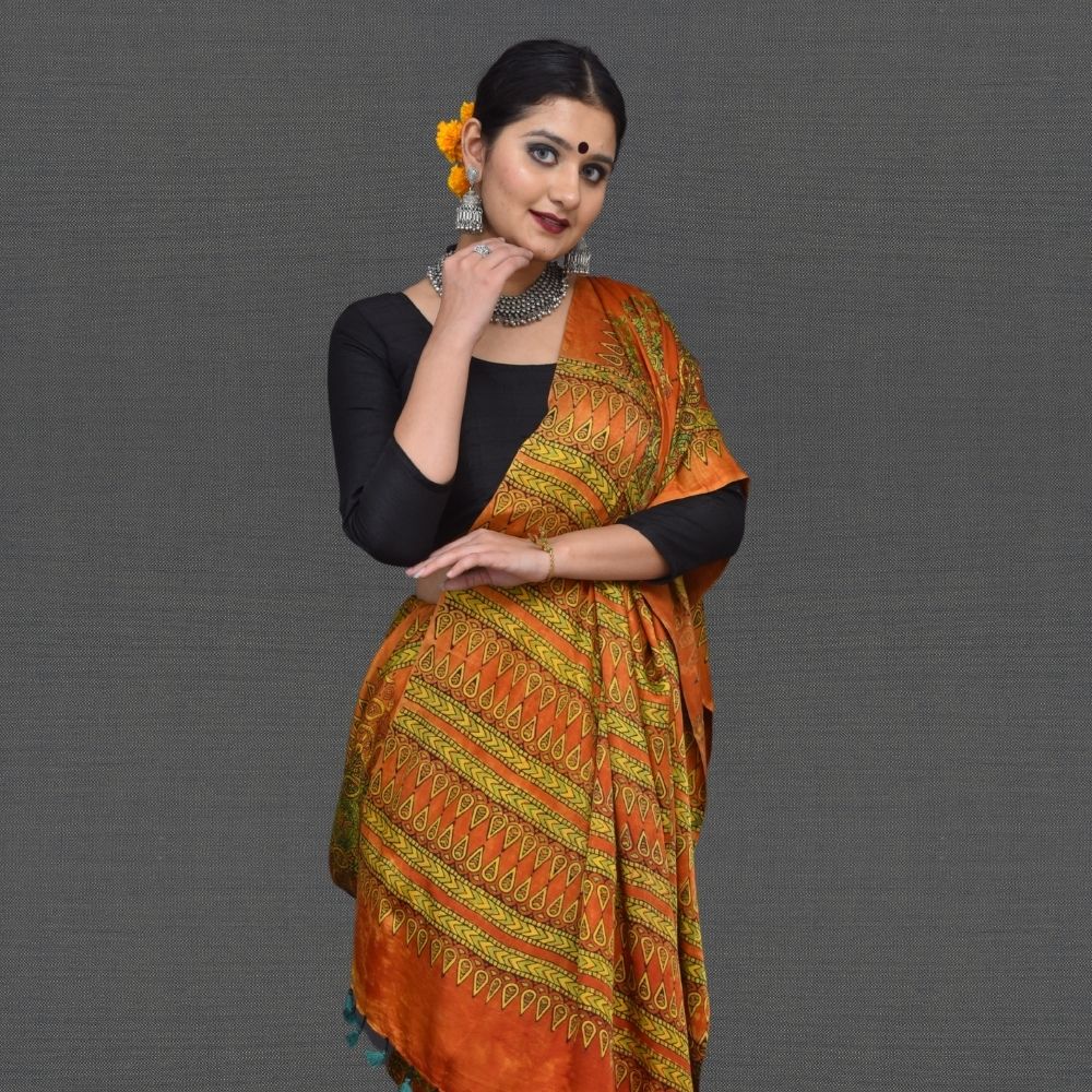 Ajrakh Saree - Image 3