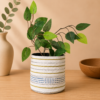 Planter