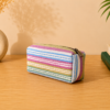 Stationary pouch